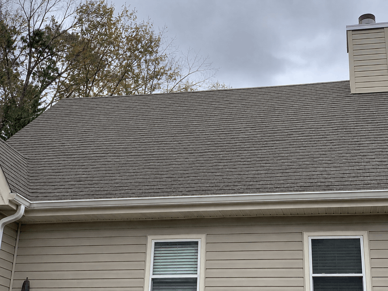 roof washing (1) (1)