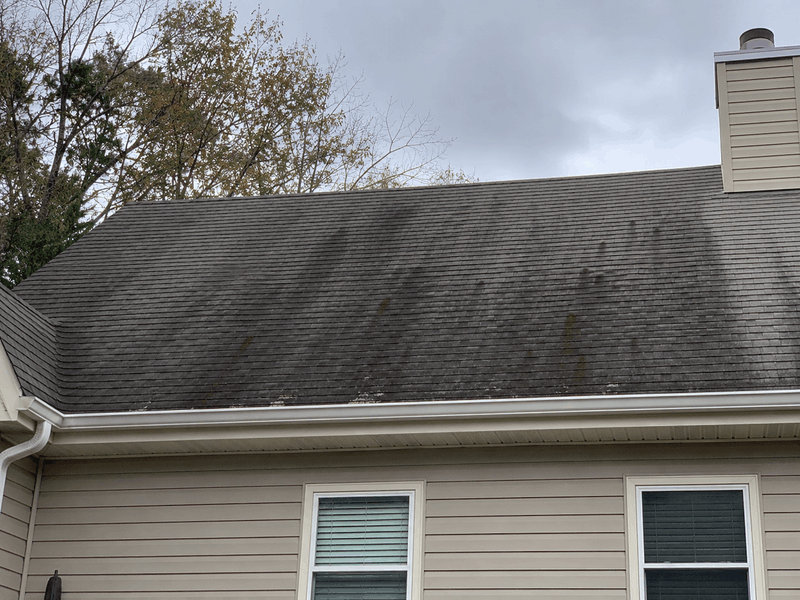 roof washing (2) (1)